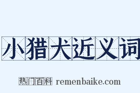 小猎犬近义词是什么意思的图片